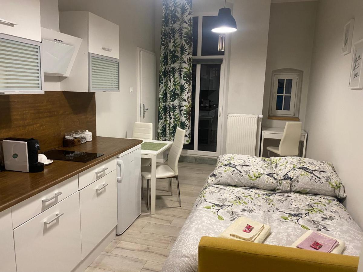 Appartamento Przytulna Kawalerka 10Min Pieszo Od Dworca/Galerii Katowice Esterno foto